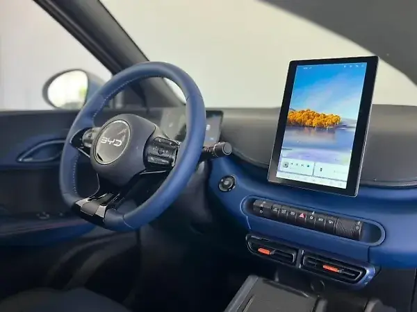 BYD Dolphin Mini - Imagem 11