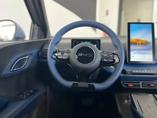 BYD Dolphin Mini - Imagem 15