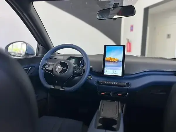 BYD Dolphin Mini - Imagem 17