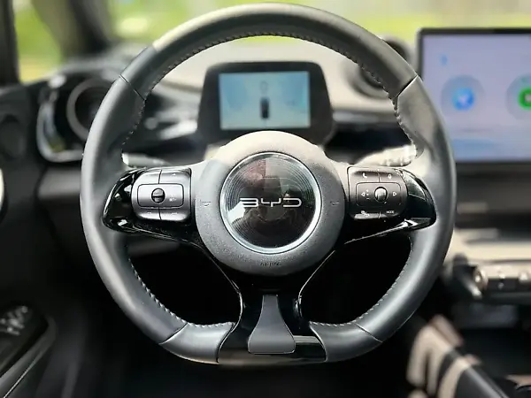 BYD Dolphin Plus - Imagem 10