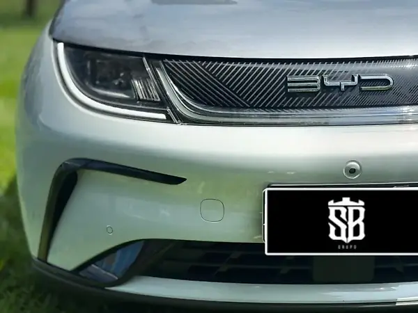 BYD Dolphin Plus - Imagem 19