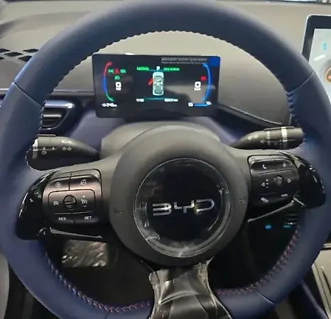 BYD Dolphin Mini - Imagem 6
