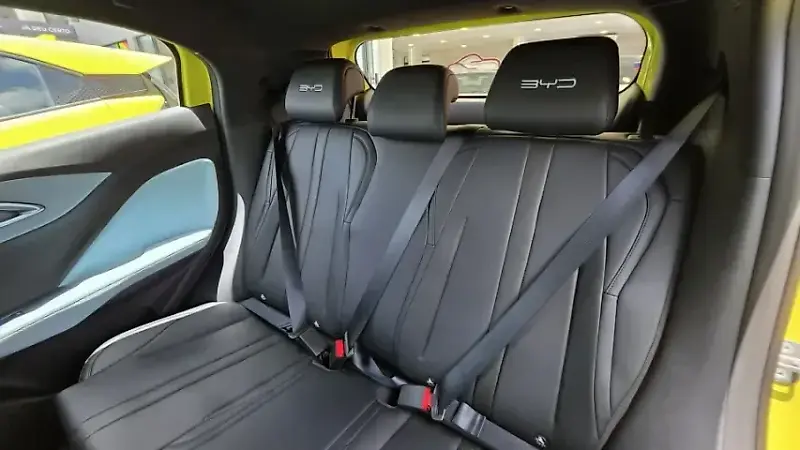 BYD Dolphin Mini - Imagem 17