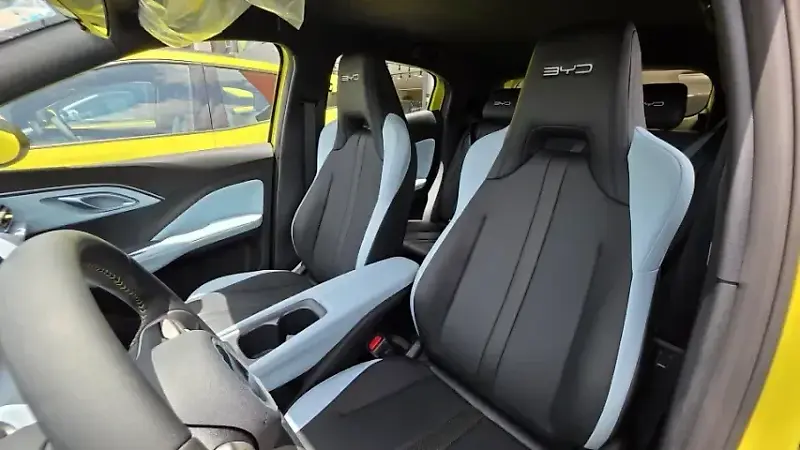 BYD Dolphin Mini - Imagem 18