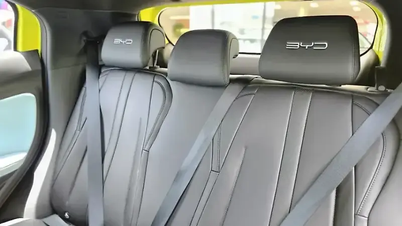 BYD Dolphin Mini - Imagem 13