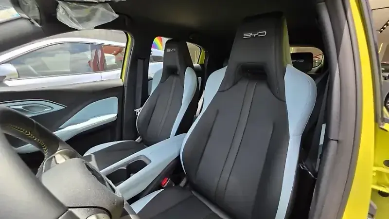 BYD Dolphin Mini - Imagem 18