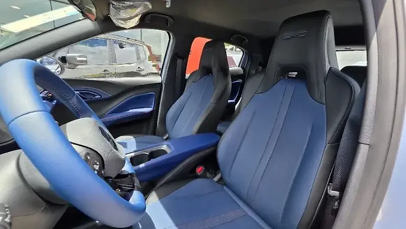 BYD Dolphin Mini - Imagem 11