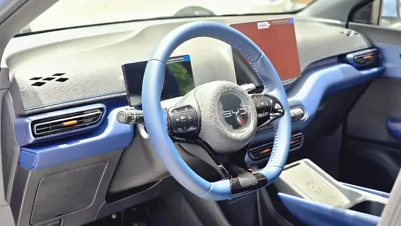 BYD Dolphin Mini - Imagem 13