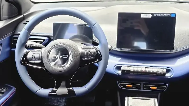 BYD Dolphin Mini - Imagem 16