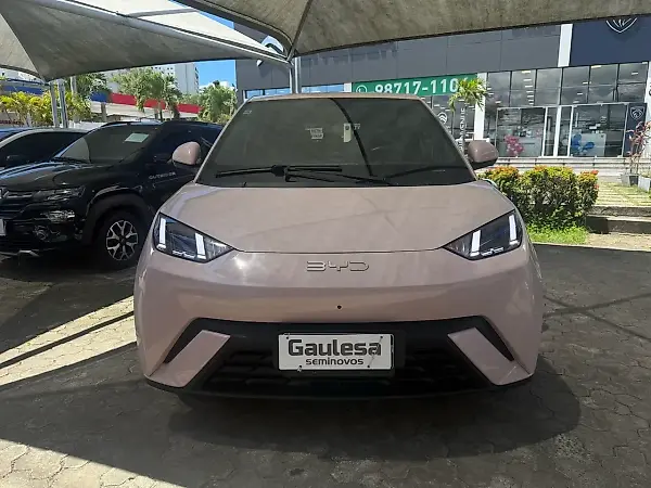BYD Dolphin Mini - Imagem 1