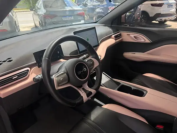 BYD Dolphin Mini - Imagem 9