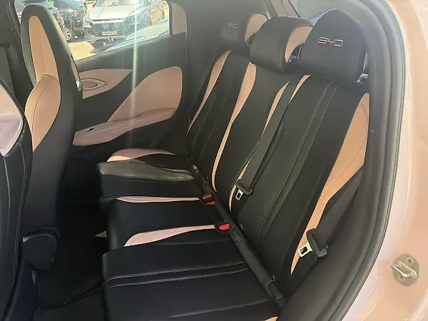 BYD Dolphin Mini - Imagem 12