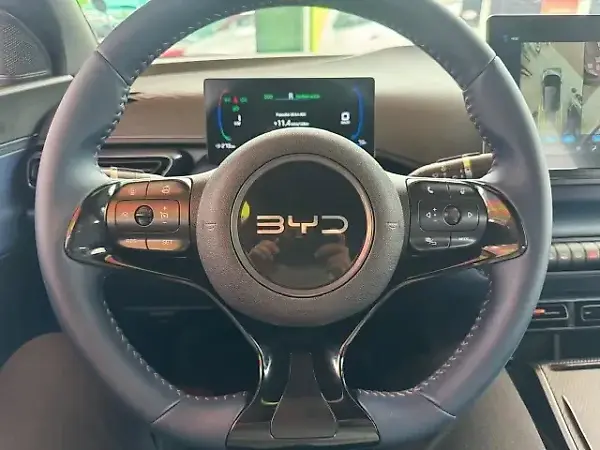 BYD Dolphin Mini - Imagem 5