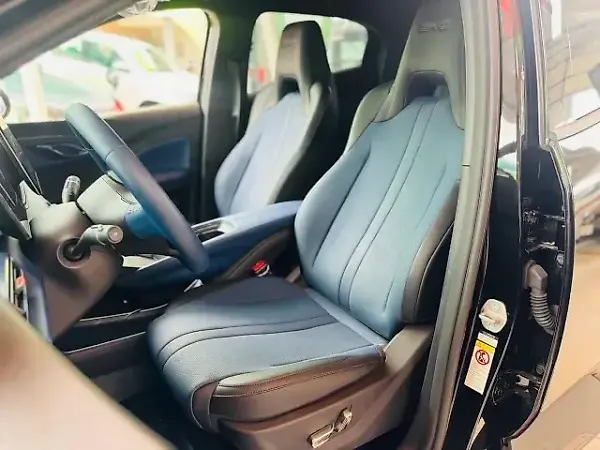 BYD Dolphin Mini - Imagem 10