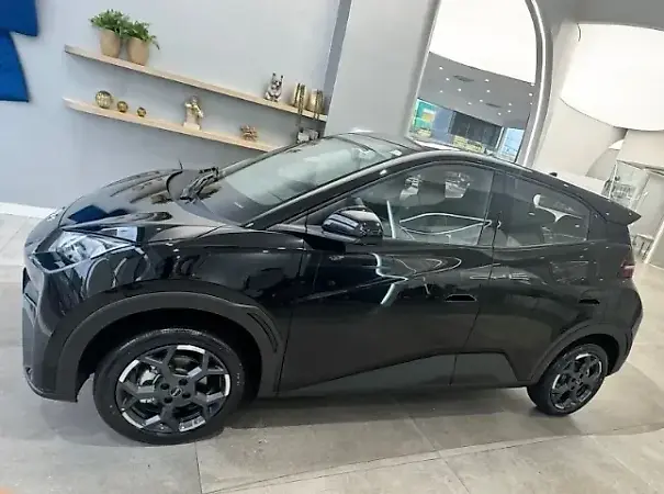 BYD Dolphin Mini - Imagem 2