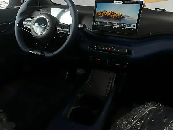 BYD Dolphin Mini - Imagem 12