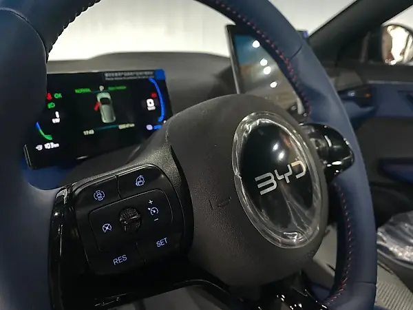 BYD Dolphin Mini - Imagem 19