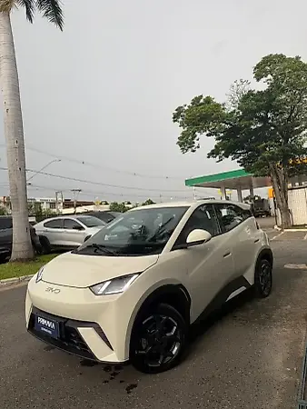 BYD Dolphin Mini - Imagem 3