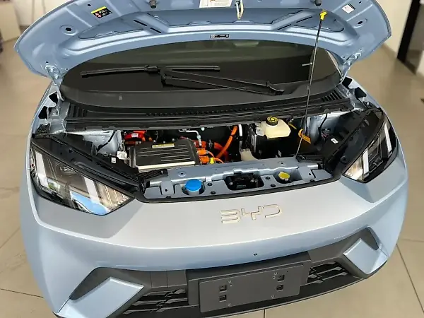 BYD Dolphin Mini - Imagem 9