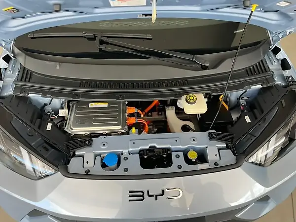 BYD Dolphin Mini - Imagem 11