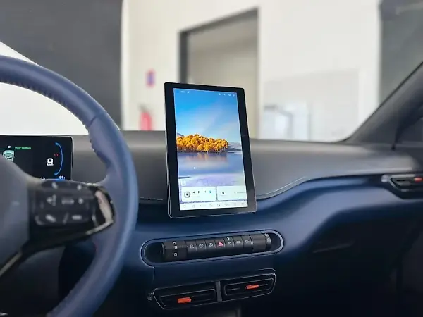 BYD Dolphin Mini - Imagem 10