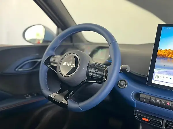 BYD Dolphin Mini - Imagem 12