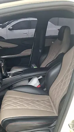 BYD Dolphin - Imagem 2