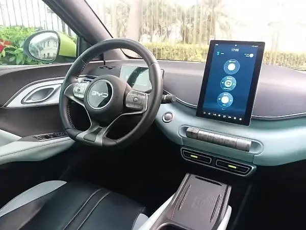 BYD Dolphin Mini - Imagem 16