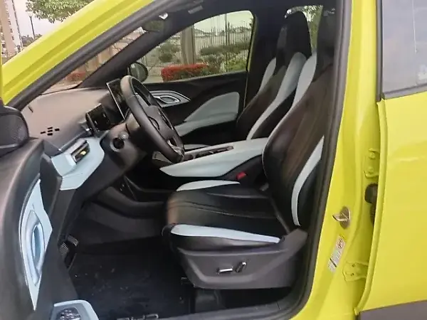 BYD Dolphin Mini - Imagem 12