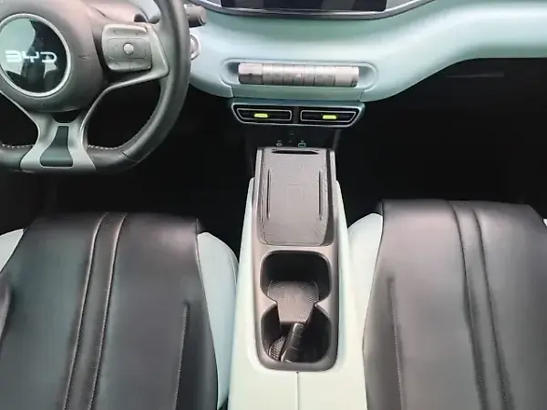BYD Dolphin Mini - Imagem 13