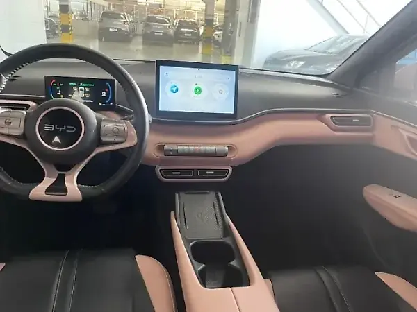 BYD Dolphin Mini - Imagem 4