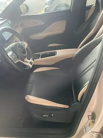 BYD Dolphin Mini - Imagem 5