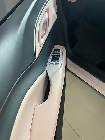 BYD Dolphin Mini - Imagem 9