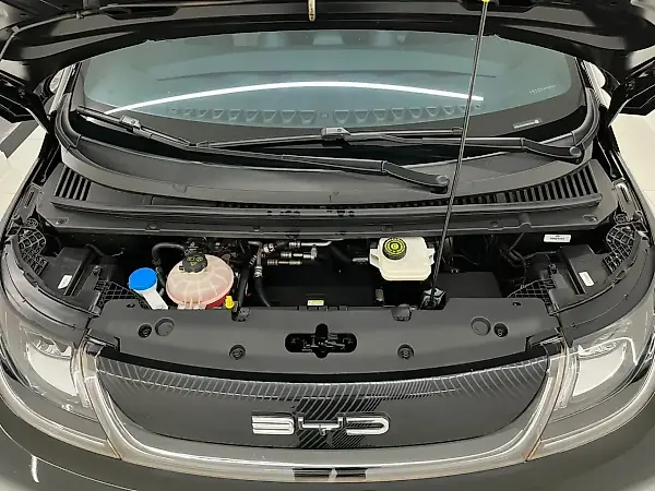 BYD Dolphin Plus - Imagem 16