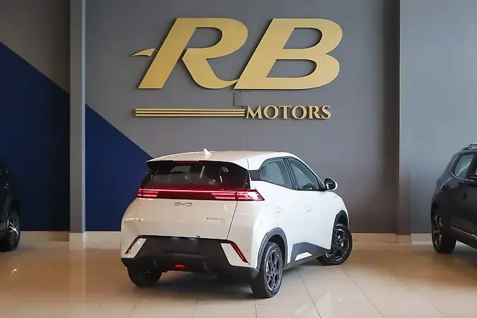 BYD Dolphin - Imagem 19
