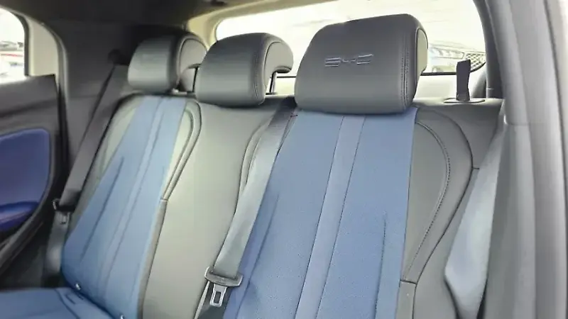 BYD Dolphin Mini - Imagem 17