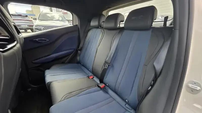 BYD Dolphin Mini - Imagem 18