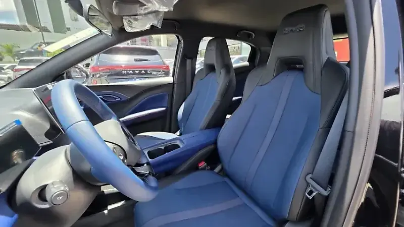 BYD Dolphin Mini - Imagem 15