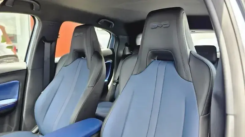 BYD Dolphin Mini - Imagem 15
