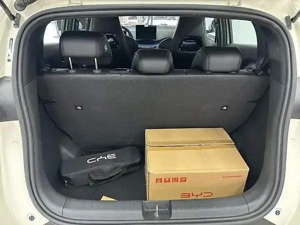 BYD Dolphin - Imagem 12