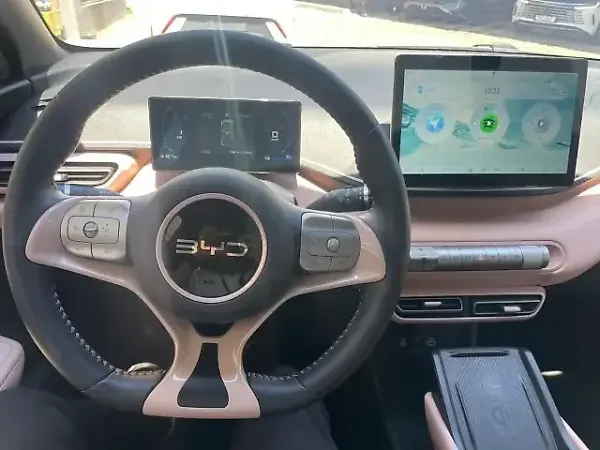 BYD Dolphin Mini - Imagem 9
