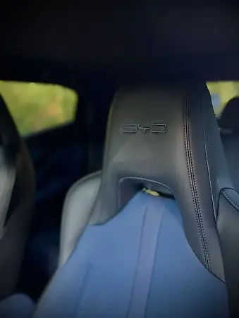 BYD Dolphin Mini - Imagem 18