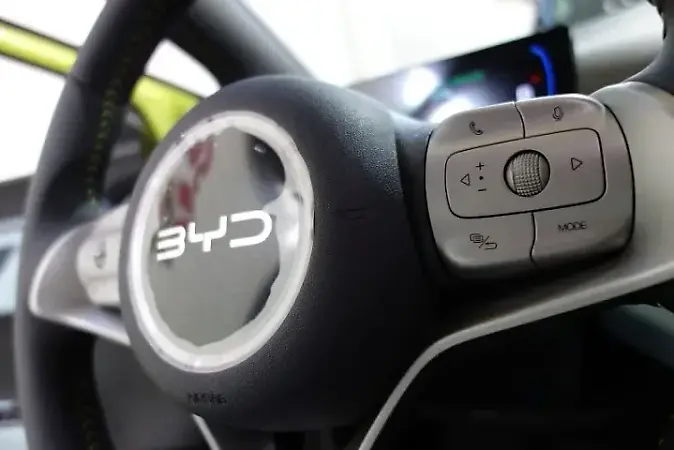 BYD Dolphin Mini - Imagem 11
