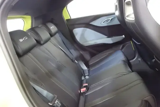 BYD Dolphin Mini - Imagem 16