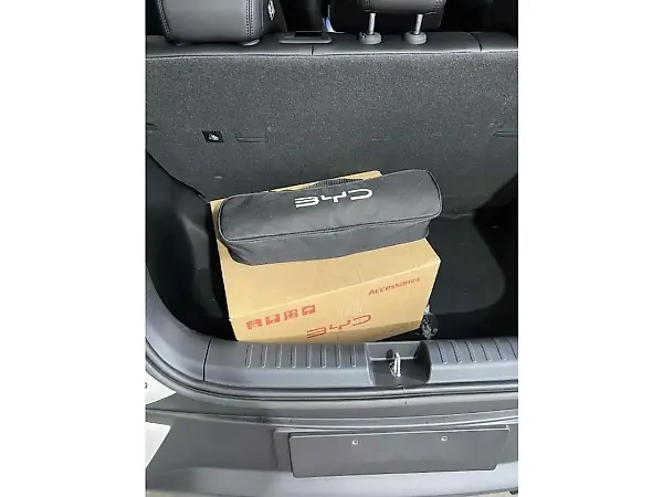 BYD Dolphin Mini - Imagem 10