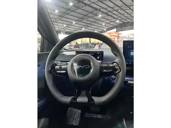BYD Dolphin Mini - Imagem 9