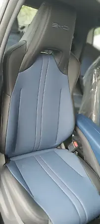 BYD Dolphin Mini - Imagem 10