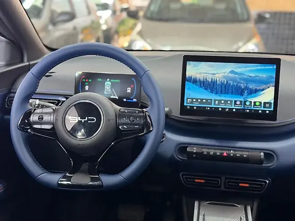 BYD Dolphin Mini - Imagem 13
