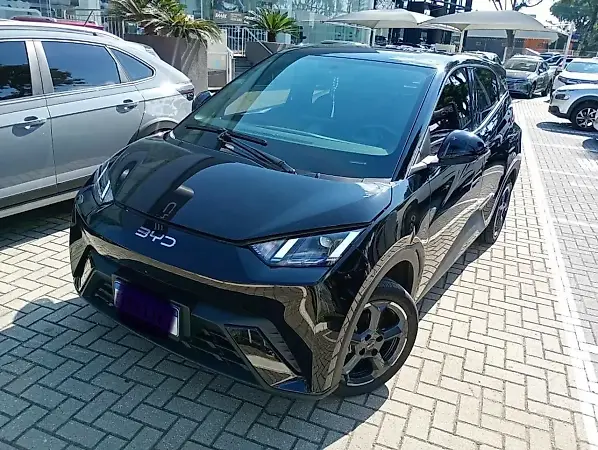 BYD Dolphin Mini - Imagem 1