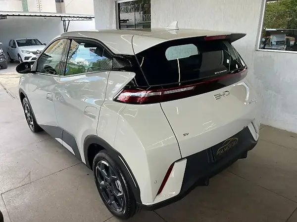 BYD Dolphin Mini - Imagem 10